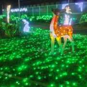 ヒメ日記 2025/07/04 17:10 投稿 江藤　きこ ギン妻パラダイス 谷九店