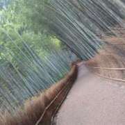 ヒメ日記 2025/07/06 14:41 投稿 江藤　きこ ギン妻パラダイス 谷九店