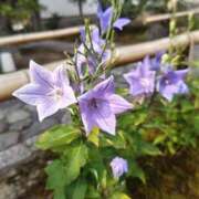 ヒメ日記 2025/07/19 19:15 投稿 江藤　きこ ギン妻パラダイス 谷九店