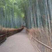 ヒメ日記 2025/08/29 09:41 投稿 江藤　きこ ギン妻パラダイス 谷九店