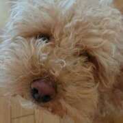 ヒメ日記 2025/09/05 21:08 投稿 江藤　きこ ギン妻パラダイス 谷九店