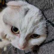 ヒメ日記 2025/09/13 21:30 投稿 江藤　きこ ギン妻パラダイス 谷九店