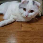 ヒメ日記 2025/09/14 10:05 投稿 江藤　きこ ギン妻パラダイス 谷九店