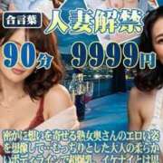 江藤　きこ 出勤♪ ギン妻パラダイス 谷九店