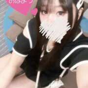 ヒメ日記 2025/06/15 08:29 投稿 松本りさ 池袋パラダイス