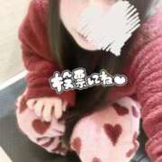 ヒメ日記 2025/11/24 12:59 投稿 松本りさ 池袋パラダイス