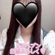 ヒメ日記 2025/11/03 14:49 投稿 はるひ NEO不夜城