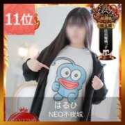 ヒメ日記 2025/11/12 14:09 投稿 はるひ NEO不夜城