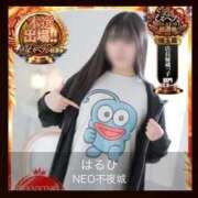 ヒメ日記 2025/11/12 16:19 投稿 はるひ NEO不夜城