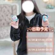 ヒメ日記 2025/11/26 15:59 投稿 はるひ NEO不夜城