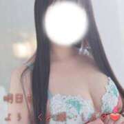 ヒメ日記 2025/12/26 13:59 投稿 はるひ NEO不夜城