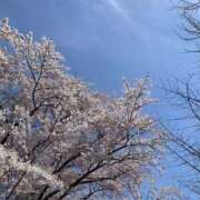 ヒメ日記 2025/05/03 19:43 投稿 山本　さとみ しこたま奥様 札幌店