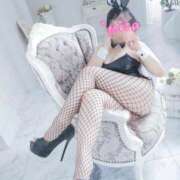 ヒメ日記 2025/12/09 11:20 投稿 みさ ごほうびSPA五反田店