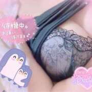 ヒメ日記 2025/02/17 19:05 投稿 あいね One More 奥様 鶯谷店