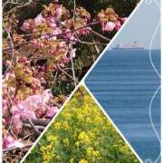 ヒメ日記 2025/02/17 19:35 投稿 みちる モアグループ春日部人妻城