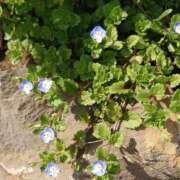 ヒメ日記 2025/02/19 17:04 投稿 みちる モアグループ春日部人妻城