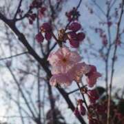 ヒメ日記 2025/02/28 11:18 投稿 みちる モアグループ春日部人妻城