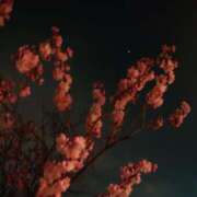 ヒメ日記 2025/03/01 19:49 投稿 みちる モアグループ春日部人妻城