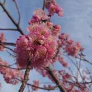 ヒメ日記 2025/03/02 16:05 投稿 みちる モアグループ春日部人妻城