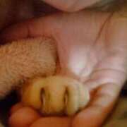 ヒメ日記 2025/03/04 21:05 投稿 みちる モアグループ春日部人妻城