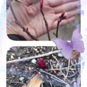 ヒメ日記 2025/03/06 17:19 投稿 みちる モアグループ春日部人妻城