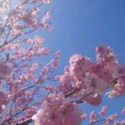 ヒメ日記 2025/03/07 12:27 投稿 みちる モアグループ春日部人妻城