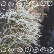 ヒメ日記 2025/03/14 18:03 投稿 みちる モアグループ春日部人妻城