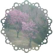 ヒメ日記 2025/03/27 22:18 投稿 みちる モアグループ春日部人妻城