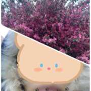 ヒメ日記 2025/04/03 19:33 投稿 みちる モアグループ春日部人妻城