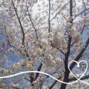 ヒメ日記 2025/04/05 14:48 投稿 みちる モアグループ春日部人妻城