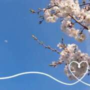 ヒメ日記 2025/04/06 18:03 投稿 みちる モアグループ春日部人妻城