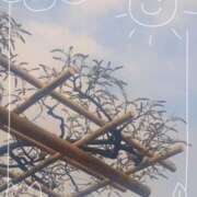 ヒメ日記 2025/04/12 14:04 投稿 みちる モアグループ春日部人妻城