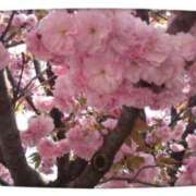 ヒメ日記 2025/04/19 14:03 投稿 みちる モアグループ春日部人妻城