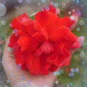 ヒメ日記 2025/04/28 12:03 投稿 みちる モアグループ春日部人妻城