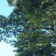 ヒメ日記 2025/05/03 07:33 投稿 みちる モアグループ春日部人妻城