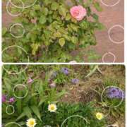 ヒメ日記 2025/05/05 09:33 投稿 みちる モアグループ春日部人妻城