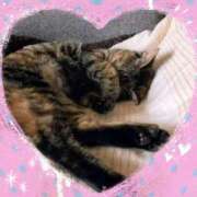 ヒメ日記 2025/05/09 12:19 投稿 みちる モアグループ春日部人妻城