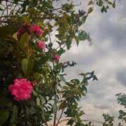 ヒメ日記 2025/05/11 07:42 投稿 みちる モアグループ春日部人妻城