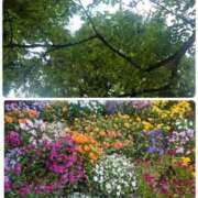 ヒメ日記 2025/05/17 08:03 投稿 みちる モアグループ春日部人妻城