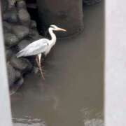 ヒメ日記 2025/05/17 16:27 投稿 みちる モアグループ春日部人妻城