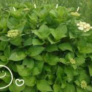 ヒメ日記 2025/05/22 09:33 投稿 みちる モアグループ春日部人妻城