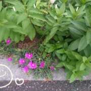 ヒメ日記 2025/05/30 16:03 投稿 みちる モアグループ春日部人妻城