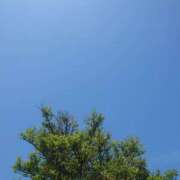 ヒメ日記 2025/06/05 14:48 投稿 みちる モアグループ春日部人妻城