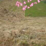 ヒメ日記 2025/06/17 09:33 投稿 みちる モアグループ春日部人妻城