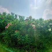 ヒメ日記 2025/07/08 09:51 投稿 みちる モアグループ春日部人妻城