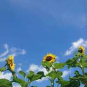 ヒメ日記 2025/07/18 09:21 投稿 みちる モアグループ春日部人妻城