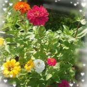 ヒメ日記 2025/08/05 09:33 投稿 みちる モアグループ春日部人妻城