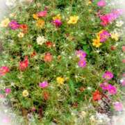 ヒメ日記 2025/08/11 09:36 投稿 みちる モアグループ春日部人妻城