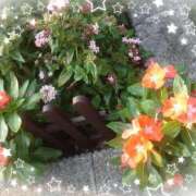 ヒメ日記 2025/08/27 07:15 投稿 みちる モアグループ春日部人妻城