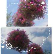 ヒメ日記 2025/08/29 18:21 投稿 みちる モアグループ春日部人妻城